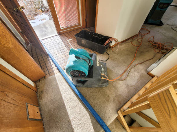 Odor Removal and Sanitization After Water Damage